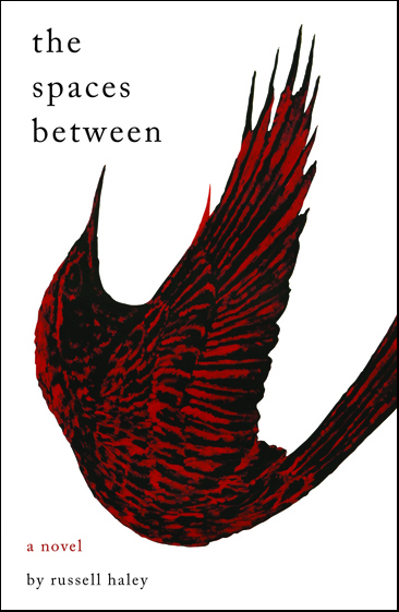 The Spaces Between Cover cropped